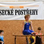 Písecká všestrannost sbírala medaile na župních sokolských přeborech