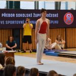 Písecká všestrannost sbírala medaile na župních sokolských přeborech