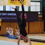 Písecká všestrannost sbírala medaile na župních sokolských přeborech