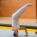 Písecká všestrannost sbírala medaile na župních sokolských přeborech