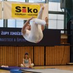 Písecká všestrannost sbírala medaile na župních sokolských přeborech