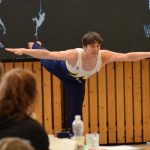 Písecká všestrannost sbírala medaile na župních sokolských přeborech