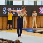 Písecká všestrannost sbírala medaile na župních sokolských přeborech