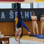 Písecká všestrannost sbírala medaile na župních sokolských přeborech