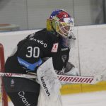 Hokej: Dvořák vychytal nájezdy. Všechny individuální trofeje by vyměnil za titul