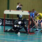 Florbal: Mladší žáci Milevska uhájili postavení mezi nejlepšími celky kraje