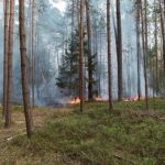 Lesní požár u Vlkova byl nahlášen z letadla