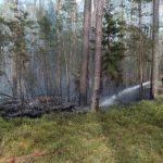 Lesní požár u Vlkova byl nahlášen z letadla