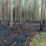 Lesní požár u Vlkova byl nahlášen z letadla