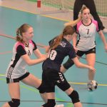 Házenkářky Milevska vyzvaly Strakonice, zářilo minižactvo