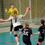 Házenkářky Milevska vyzvaly Strakonice, zářilo minižactvo