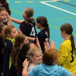 Házenkářky Milevska vyzvaly Strakonice, zářilo minižactvo