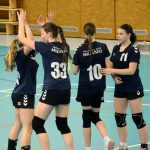 Házenkářky Milevska vyzvaly Strakonice, zářilo minižactvo