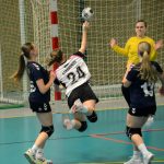 Házenkářky Milevska vyzvaly Strakonice, zářilo minižactvo