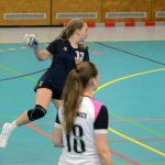 Házenkářky Milevska vyzvaly Strakonice, zářilo minižactvo