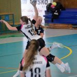 Házenkářky Milevska vyzvaly Strakonice, zářilo minižactvo