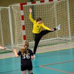 Házenkářky Milevska vyzvaly Strakonice, zářilo minižactvo