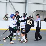 VIDEO: Plánští hokejbalisté bojují o co nejlepší pozici pro play-off. Souboj s rezervou Prachatic pro ně nebyl problém