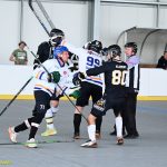 VIDEO: Plánští hokejbalisté bojují o co nejlepší pozici pro play-off. Souboj s rezervou Prachatic pro ně nebyl problém