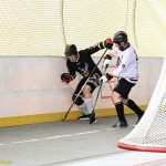 VIDEO: Plánští hokejbalisté bojují o co nejlepší pozici pro play-off. Souboj s rezervou Prachatic pro ně nebyl problém