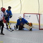 VIDEO: Hokejbalisté plánského Sokola vydřeli povinné vítězství. Pluhův Žďár hrál o body do posledních sekund