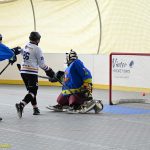 VIDEO: Hokejbalisté plánského Sokola vydřeli povinné vítězství. Pluhův Žďár hrál o body do posledních sekund