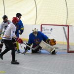 VIDEO: Hokejbalisté plánského Sokola vydřeli povinné vítězství. Pluhův Žďár hrál o body do posledních sekund