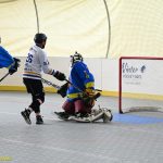 VIDEO: Hokejbalisté plánského Sokola vydřeli povinné vítězství. Pluhův Žďár hrál o body do posledních sekund