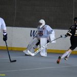 VIDEO: Plánští hokejbalisté bojují o co nejlepší pozici pro play-off. Souboj s rezervou Prachatic pro ně nebyl problém