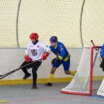 VIDEO: Hokejbalisté plánského Sokola vydřeli povinné vítězství. Pluhův Žďár hrál o body do posledních sekund