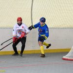 VIDEO: Hokejbalisté plánského Sokola vydřeli povinné vítězství. Pluhův Žďár hrál o body do posledních sekund