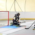 VIDEO: Plánští hokejbalisté bojují o co nejlepší pozici pro play-off. Souboj s rezervou Prachatic pro ně nebyl problém