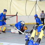 VIDEO: Hokejbalisté plánského Sokola vydřeli povinné vítězství. Pluhův Žďár hrál o body do posledních sekund