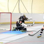 VIDEO: Plánští hokejbalisté bojují o co nejlepší pozici pro play-off. Souboj s rezervou Prachatic pro ně nebyl problém