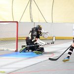 VIDEO: Plánští hokejbalisté bojují o co nejlepší pozici pro play-off. Souboj s rezervou Prachatic pro ně nebyl problém