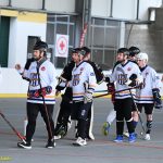 VIDEO: Plánští hokejbalisté bojují o co nejlepší pozici pro play-off. Souboj s rezervou Prachatic pro ně nebyl problém