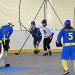 VIDEO: Hokejbalisté plánského Sokola vydřeli povinné vítězství. Pluhův Žďár hrál o body do posledních sekund