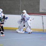 VIDEO: Plánští hokejbalisté porazili vítěze základní části! Cenný skalp bránili do posledních sekund