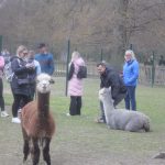 O velikonoční trhy na zámku v Blatné je velký zájem. V restauraci jsou k ochutnání řecké velikonoční pochoutky