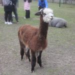 O velikonoční trhy na zámku v Blatné je velký zájem. V restauraci jsou k ochutnání řecké velikonoční pochoutky