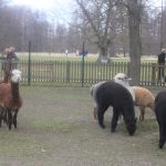 O velikonoční trhy na zámku v Blatné je velký zájem. V restauraci jsou k ochutnání řecké velikonoční pochoutky