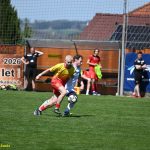 VIDEO: Meteor utnul čtyřzápasovou vítěznou šňůru Semic. Jediným gólem rozhodl Daniel Velek