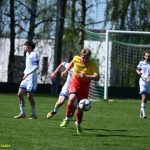 VIDEO: Meteor utnul čtyřzápasovou vítěznou šňůru Semic. Jediným gólem rozhodl Daniel Velek