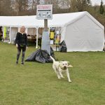Krok za krokem přes Šumavu: Military Death March spojil 1400 lidí ve vytrvalosti i vzpomínkách