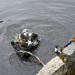 Potápěči mapovali okolí městské elektrárny v Písku