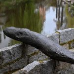 Potápěči mapovali okolí městské elektrárny v Písku