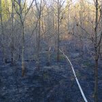 Hoří Branišovský les. Hasiči vyhlásili druhý stupeň požárního poplachu