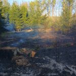 Hoří Branišovský les. Hasiči vyhlásili druhý stupeň požárního poplachu