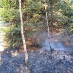 Hoří Branišovský les. Hasiči vyhlásili druhý stupeň požárního poplachu