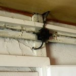 Milevští tenisté se dočkají nového zázemí! Většinu pokryjí dotace, cílem jsou oslavy 100 let